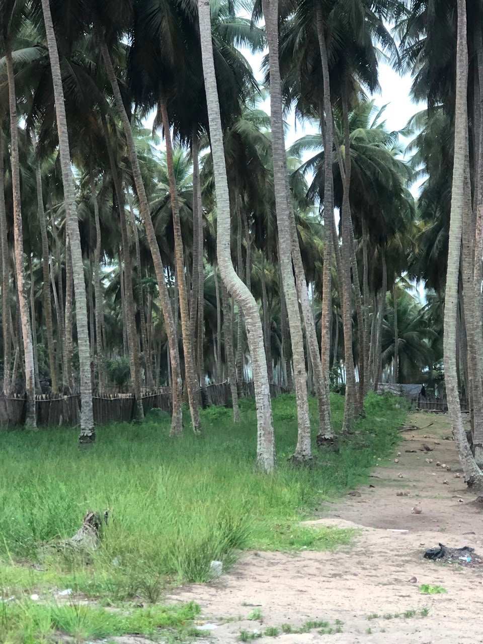 Terrain en vente — Mondoukou, côté mer — photo 4