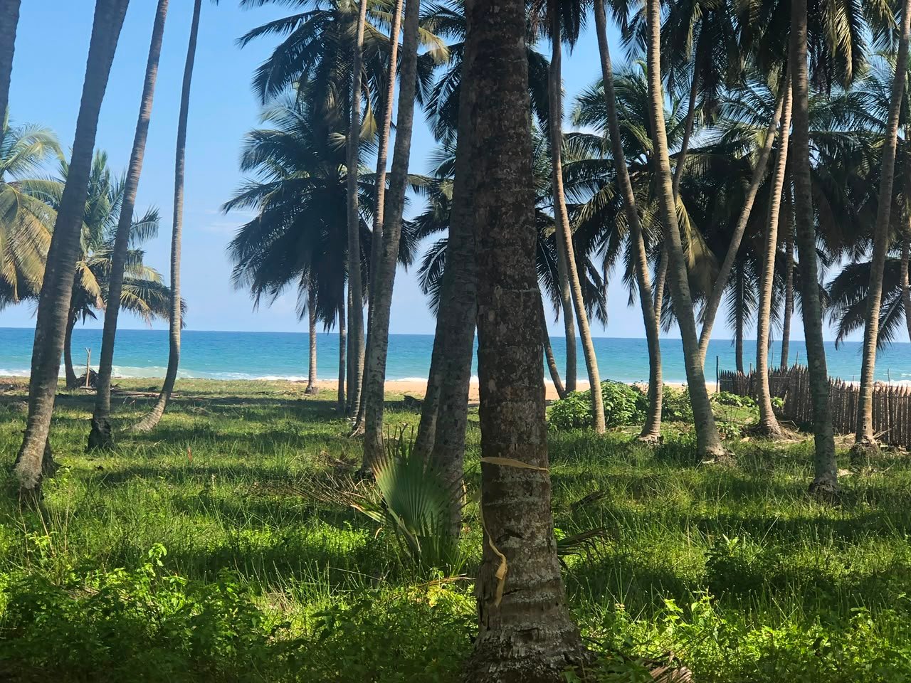 Terrain en vente — Mondoukou, côté mer — photo 7